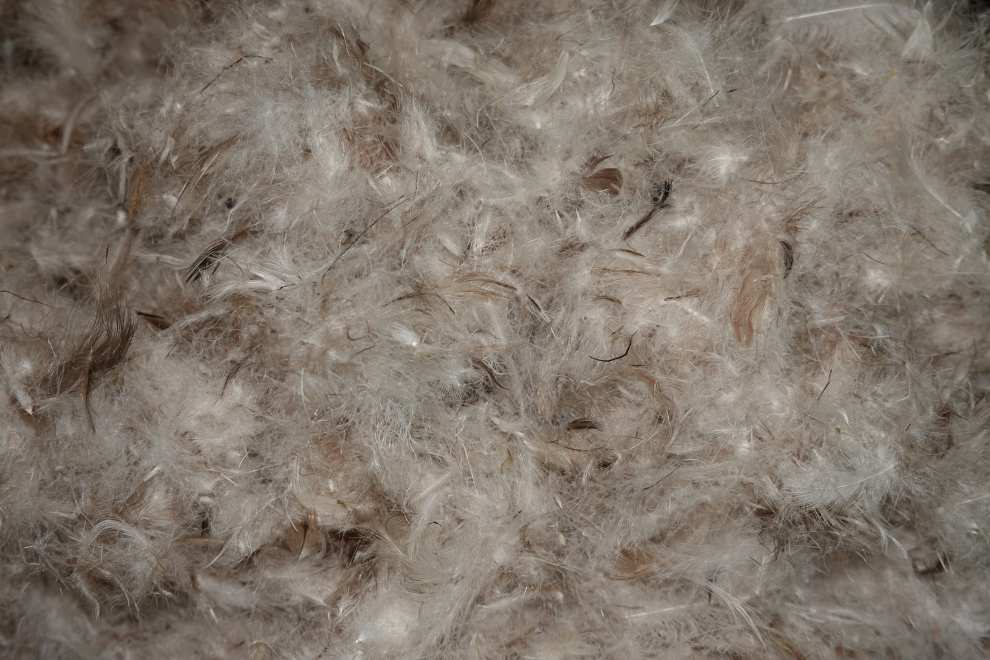 Premium down and wool blend – natural feather and fiber mix inside the OpenAir Down Pillow