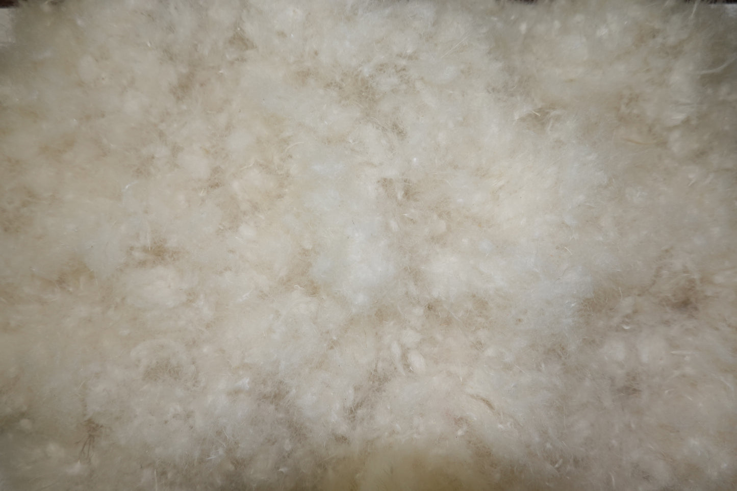 Premium down and wool blend – soft, fluffy fill for the OpenAir Down Pillow